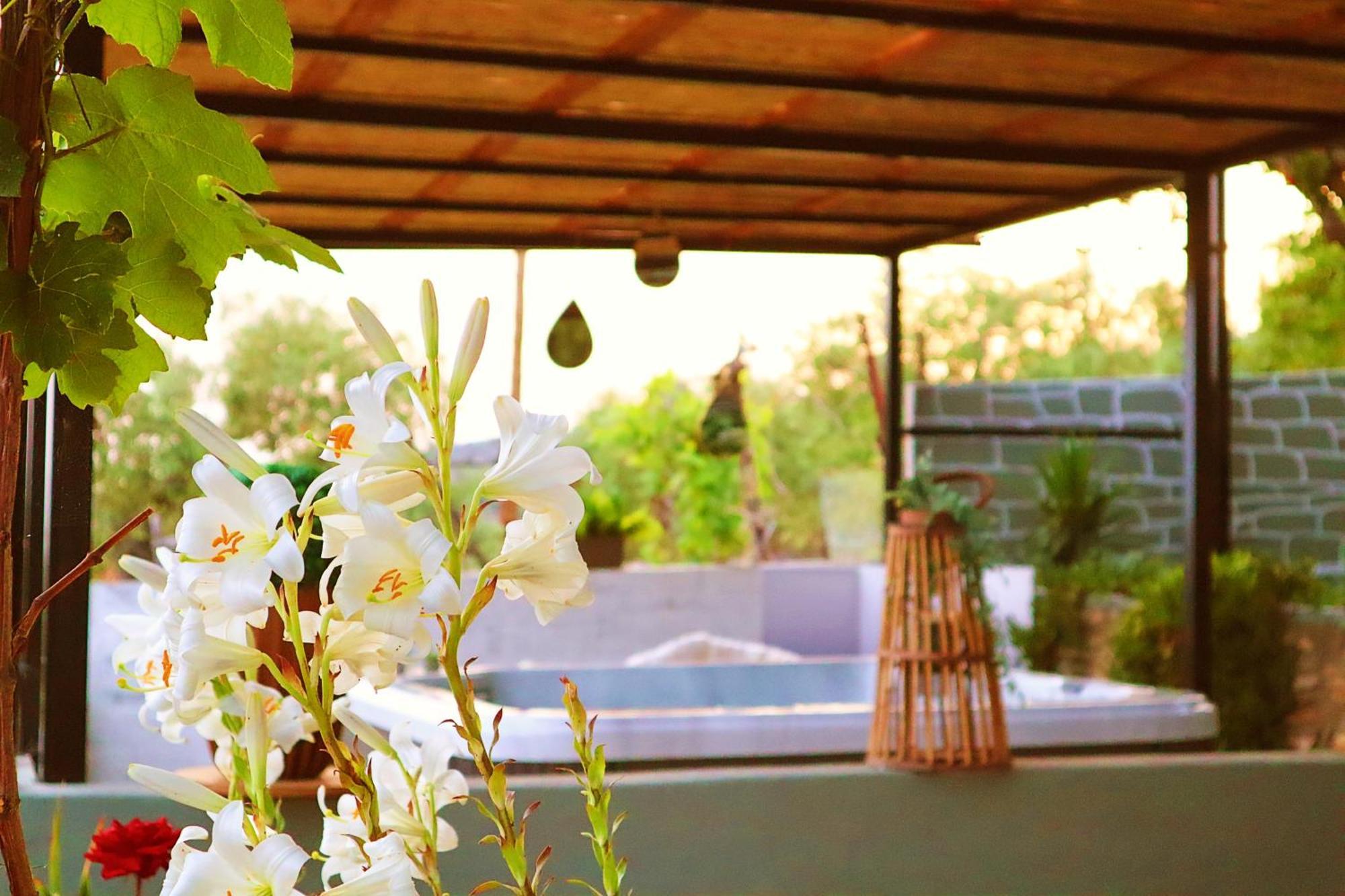 Thassion-Ikea Feels Like Home Astris Dış mekan fotoğraf